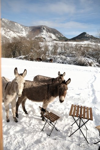 Domaine AbracadaRoom : Homnest (Escouloubre) - Image 15