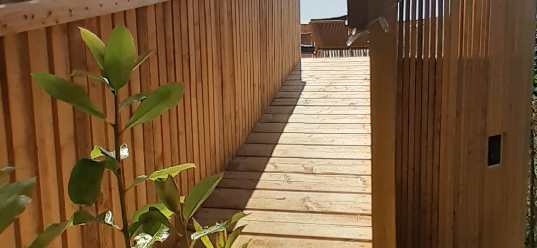 Cabane l'Albitru à Poggio-Marinaccio (11)