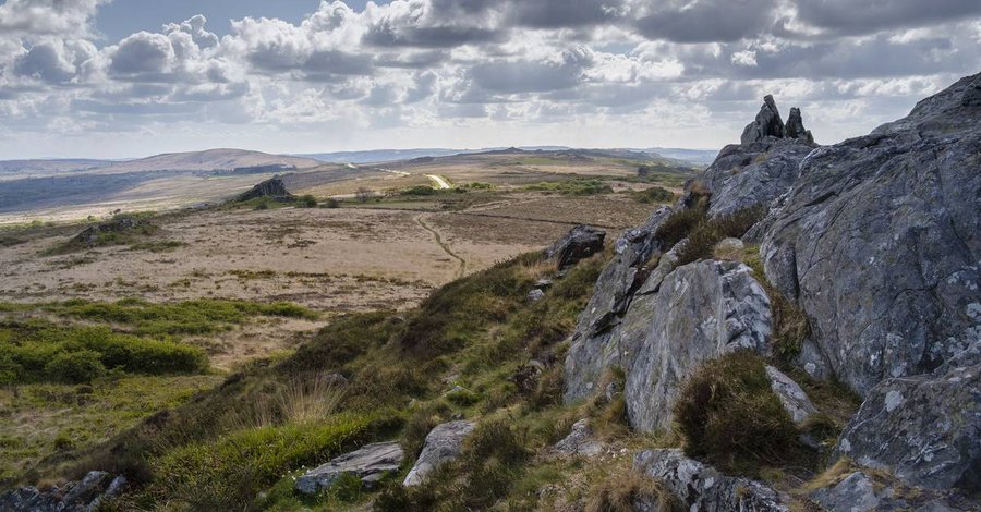 Hébergement AbracadaRoom : Ty Koad - Image 21