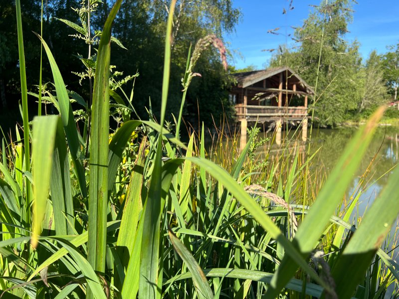 Hébergement AbracadaRoom : La cabane du Trappeur - Image 2