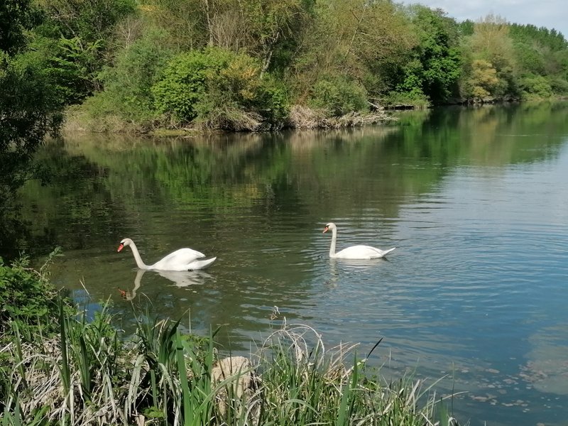 Domaine AbracadaRoom : Gare de Lurey Conflans - Image 1