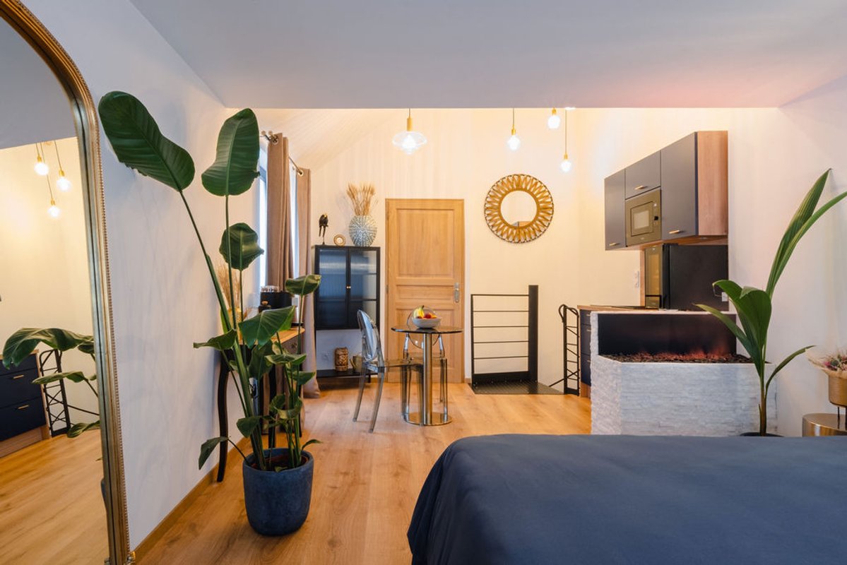 Suite romantique Viens on s'aime à Romorantin-Lanthenay (7)
