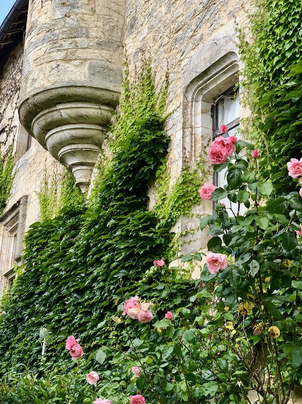 L'Aile Renaissance + la Tour Médiévale - 18 personnes à Saint-Chamarand (28)