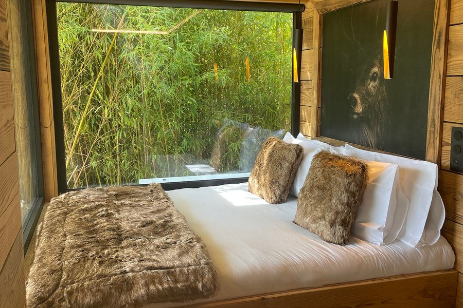 Suite Refuge • Écrin de luxe & bain nordique au bord du canal — photo 2