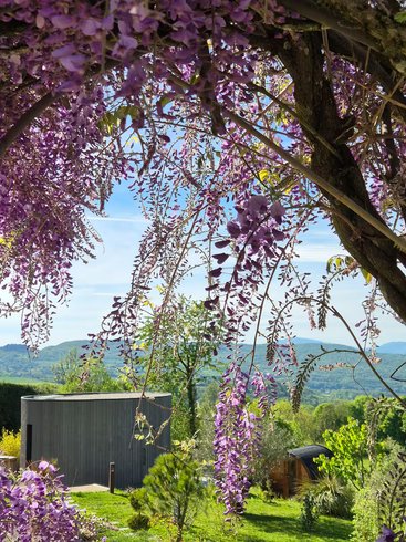 Domaine AbracadaRoom : LES BALCONS DE LA TERROSIERE - Image 9