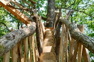 Cabaña en los árboles Vosges