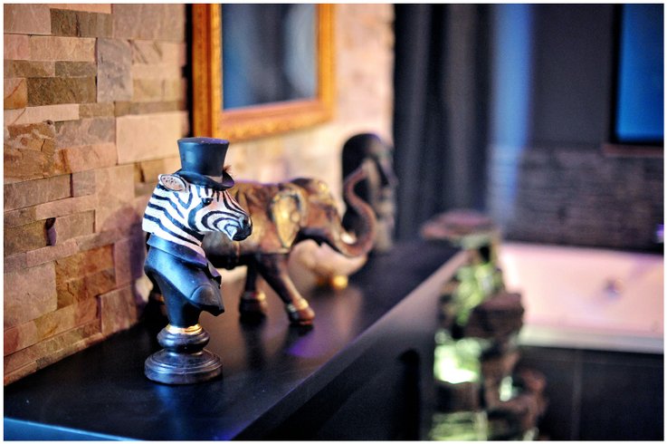 Hébergement AbracadaRoom : Évasion safari unique, SPA XXL, CASCADE D'EAU, CINÉMA PRIVÉ, 5 min du centre - Image 23