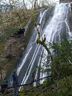 Domaine AbracadaRoom : Roulotte du Jura Vert - Image 4