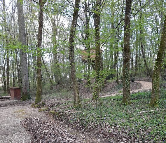 Domaine AbracadaRoom : Cabane de l'Augis nature - Image 2