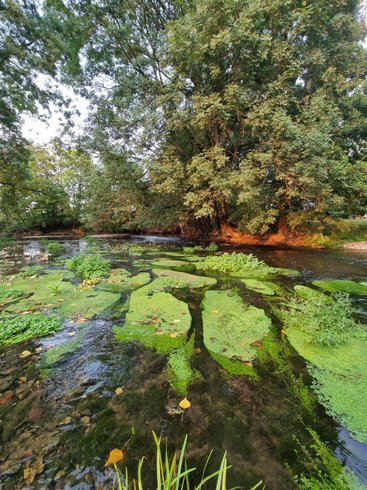 Domaine AbracadaRoom : Moulin de Vilaine - Image 68