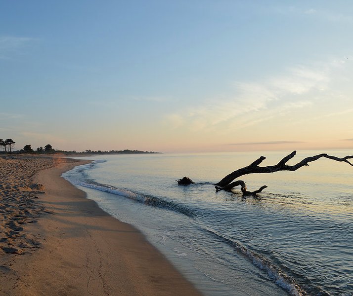 bord-de-mer-village-del-mar