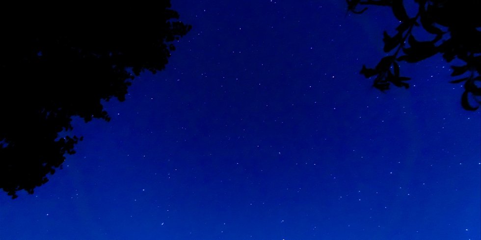 Hébergement AbracadaRoom : Dôme aux oiseaux - Image 27