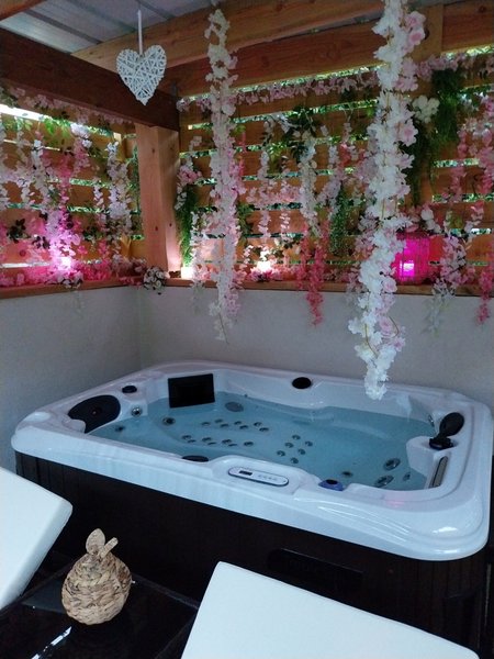 Hébergement AbracadaRoom : "M"ANON-Dôme Géodésique, piscine, spa et sauna. - Image 3