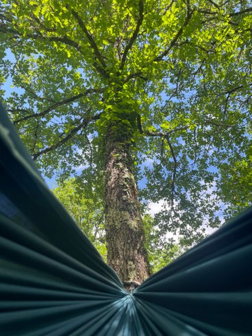 Hébergement AbracadaRoom : Ti'Nid, cocon confortable et lumineux - Image 22