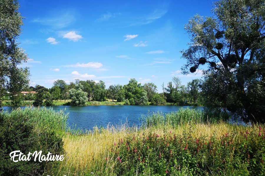 La bulle nuage d'Etat Nature — photo 2