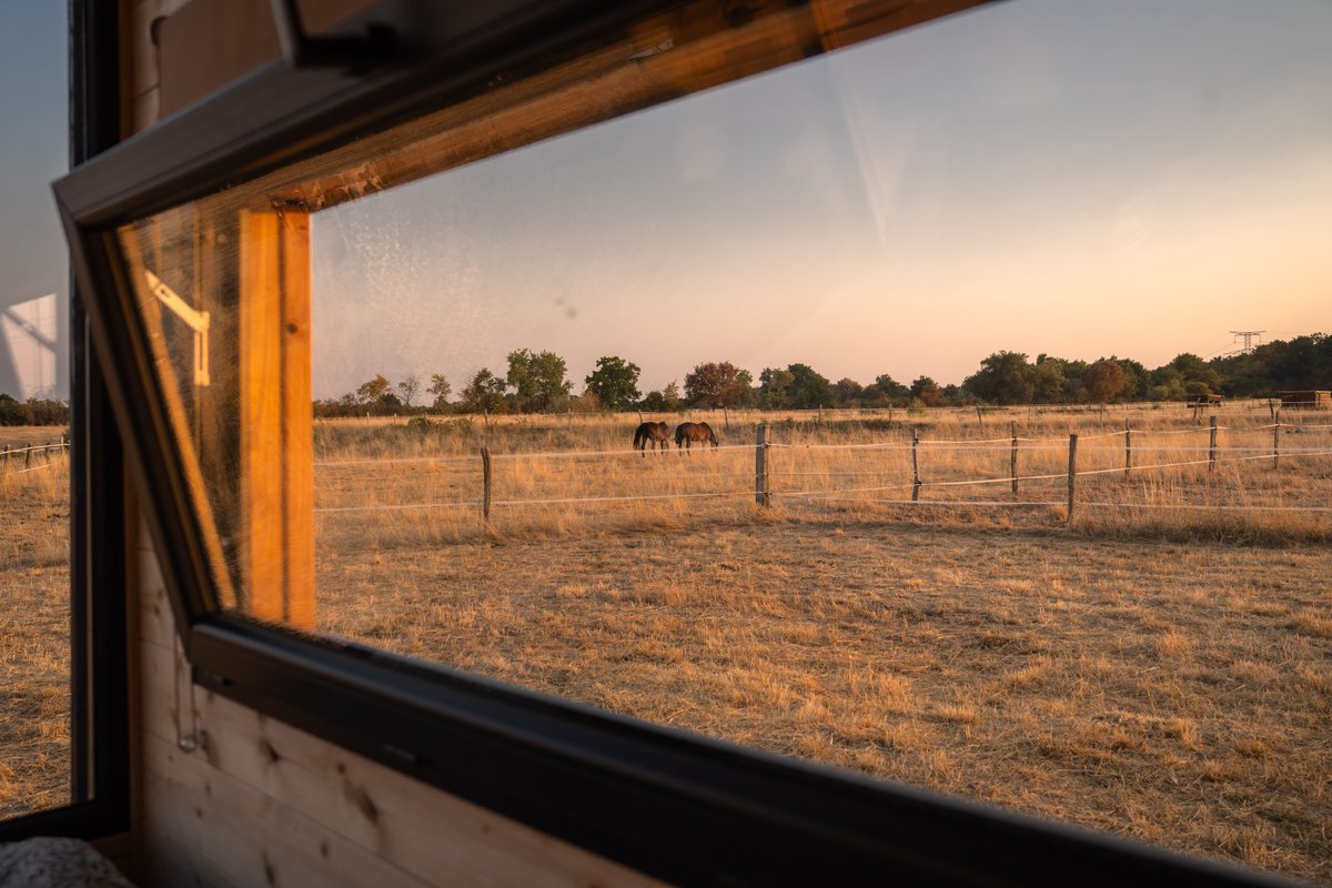 Homnest - Tiny house dans l'Allier - Cheval à Espinasse-Vozelle (14)