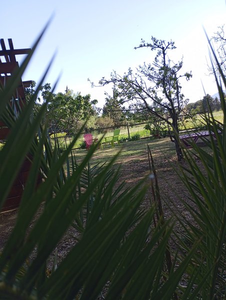 Hébergement AbracadaRoom : La Roulotte Spa Gitane - Image 23