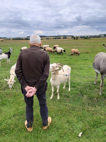 Domaine AbracadaRoom : Caraferme et compagnie - Image 15