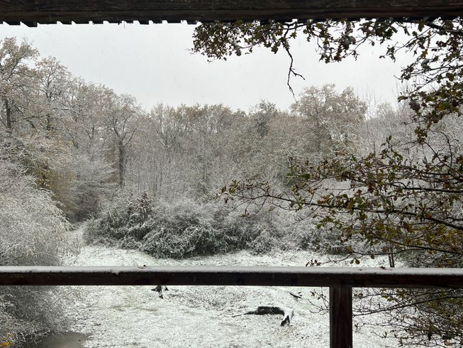 Hébergement AbracadaRoom : Suite Arty + « JungOne » & Spa - Image 7