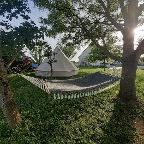 Domaine AbracadaRoom : La canopée - Image 3