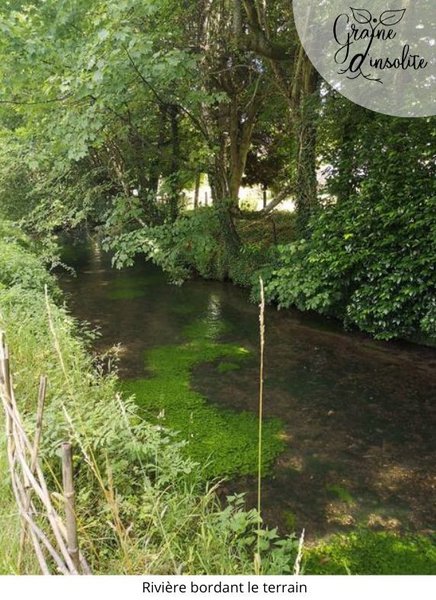 Hébergement AbracadaRoom : La Tiny Graine d'insolite - Image 19