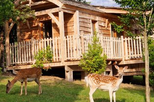 Cabin on Stilts Lot-et-Garonne
