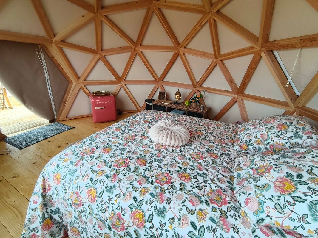 Dôme géodésique étoilé à Gerland (11)