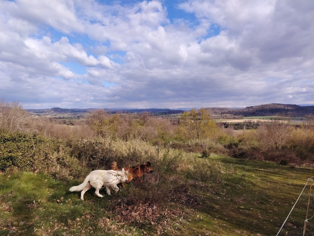 Tiny Pony – Dormir au milieu des chevaux jusqu' à 5 personnes à Saint-Donat-Sur-L'herbasse (24)