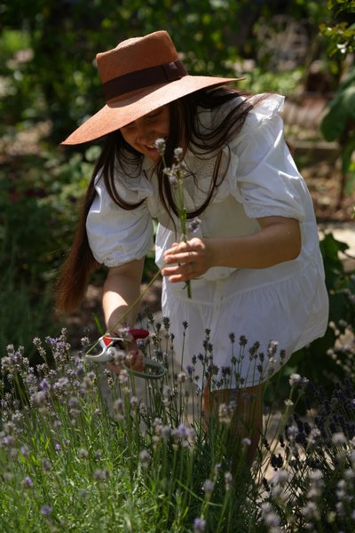 Domaine AbracadaRoom : Santolina Etrusca - Image 9