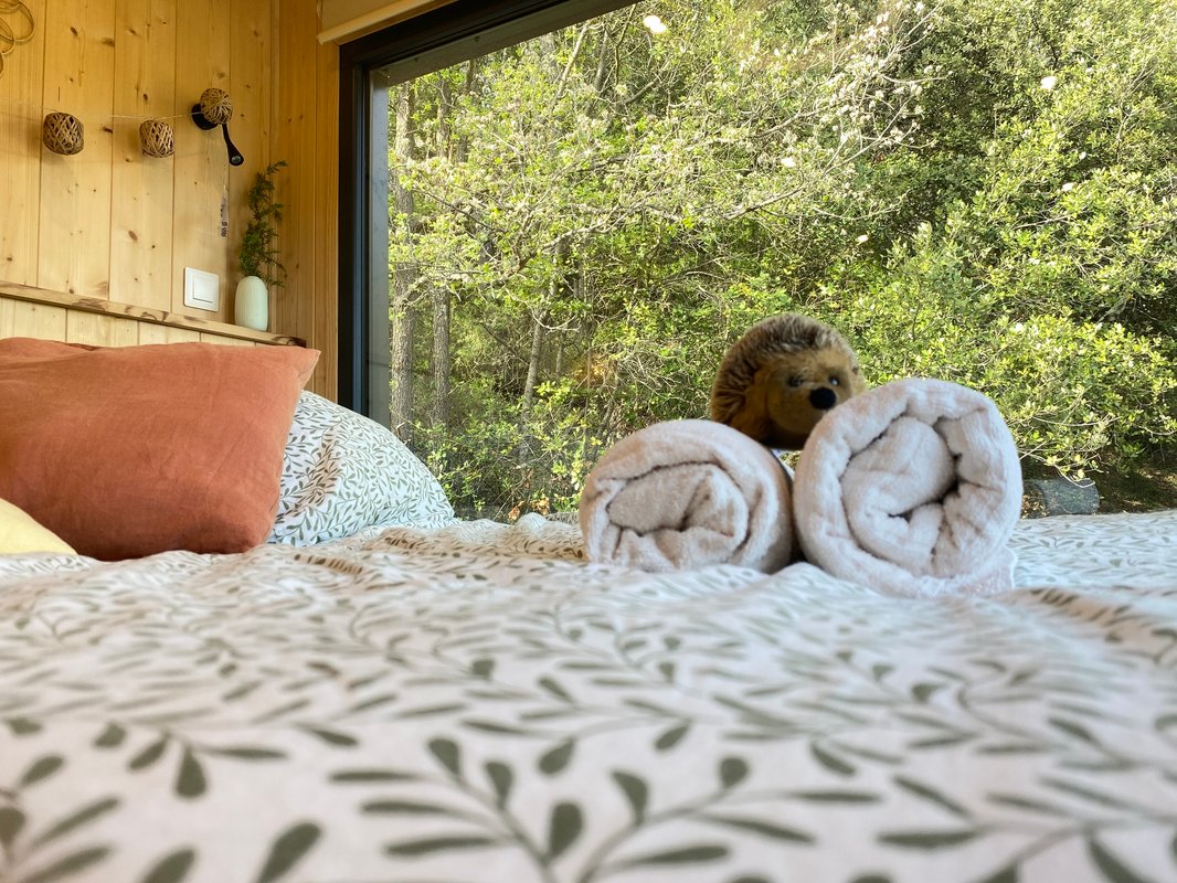 Homnest -Mélodie Provençale en Sainte-Baume à Correns (22)