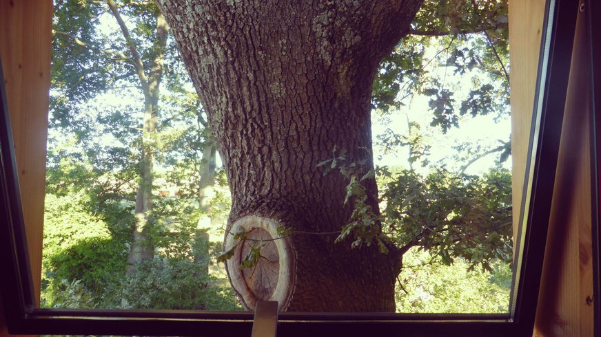 Hébergement AbracadaRoom : La Cabane Perchée du Faucon - Image 14