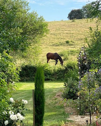 Hébergement AbracadaRoom : Cabane Spa du Potager - Image 10