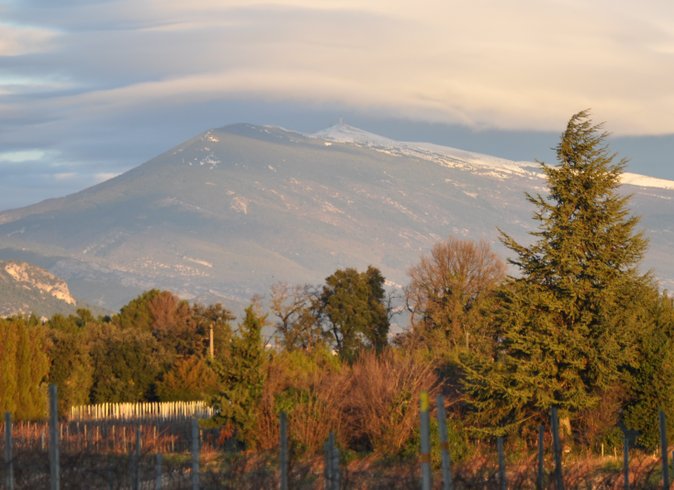 Domaine AbracadaRoom : Nid'Oiselet - Image 8