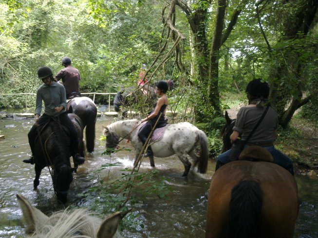 Domaine AbracadaRoom : Écurie Leseigneur - Image 8