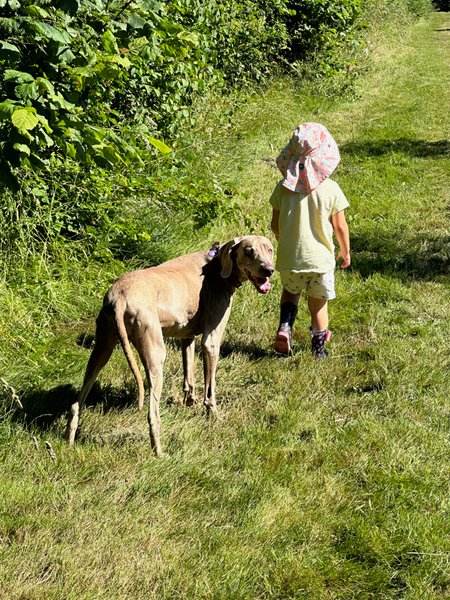 Domaine AbracadaRoom : Les roulottes des amis de Wonky - Image 12