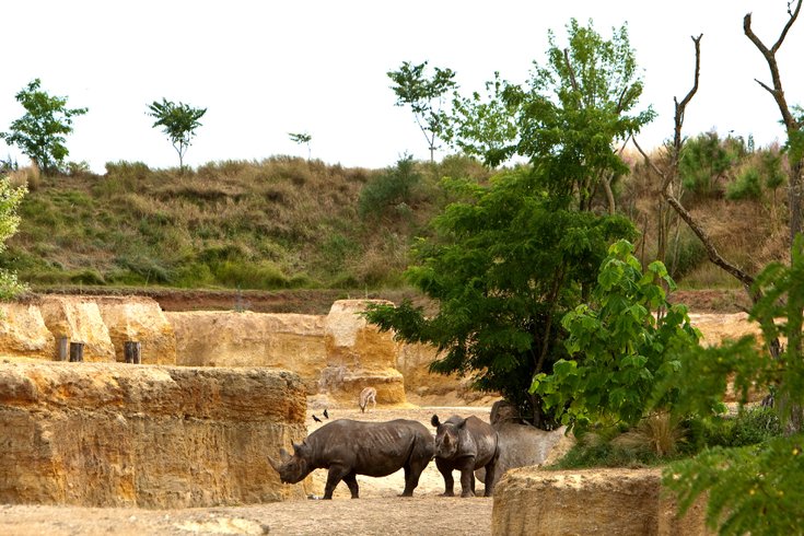 Domaine AbracadaRoom : BIOPARC HEBERGEMENT - Image 16