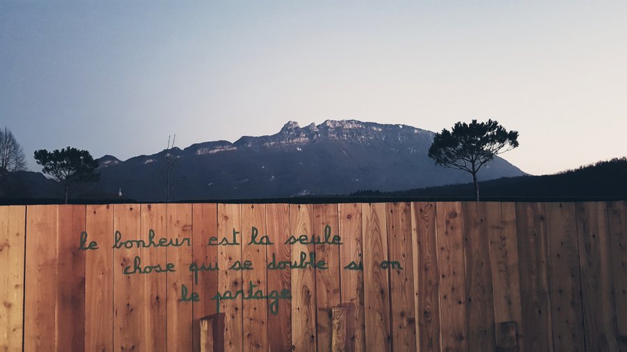 bulle spa dent du chat