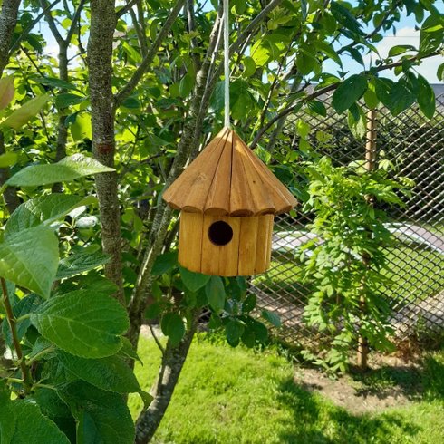 Hébergement AbracadaRoom : Tonneau Ô Verger - Image 29