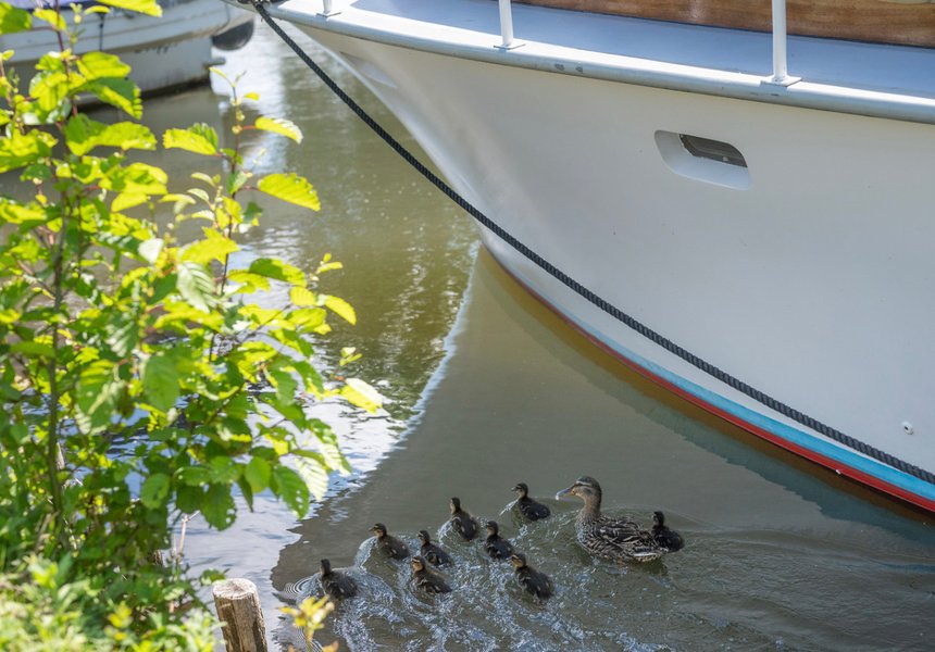 Domaine AbracadaRoom : SEALOV - Image 5