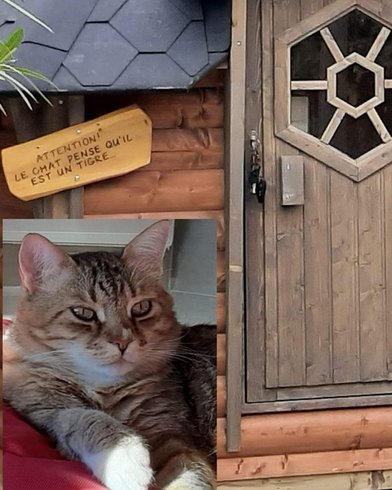 Hébergement AbracadaRoom : La Cabane de Mes Rêves en cévennes - Image 23