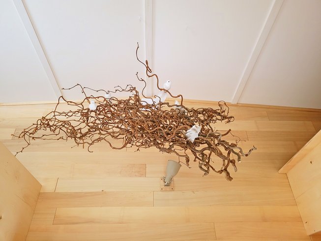 Hébergement AbracadaRoom : Tiny house Ecureuil - Image 9