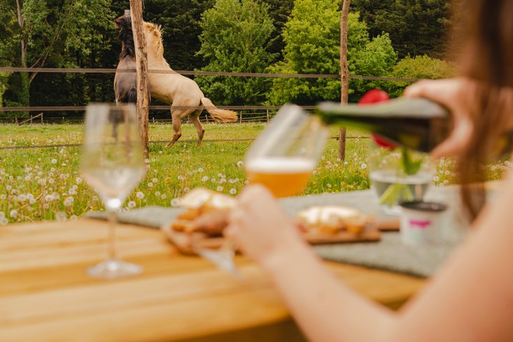 Hébergement AbracadaRoom : Parcel Tiny House- avec les chevaux dans le Perche - Image 13
