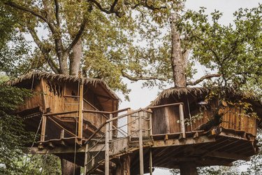 Cabane Héronnière à Chassey-Lès-Montbozon (2)