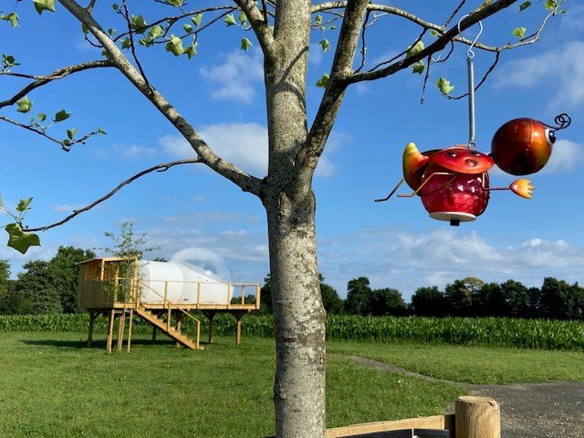 Hébergement AbracadaRoom : La Bulle de la fée Viviane - Image 3