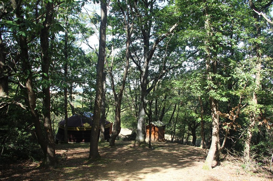 Hébergement AbracadaRoom : La Yourte sur Pilotis - Image 4