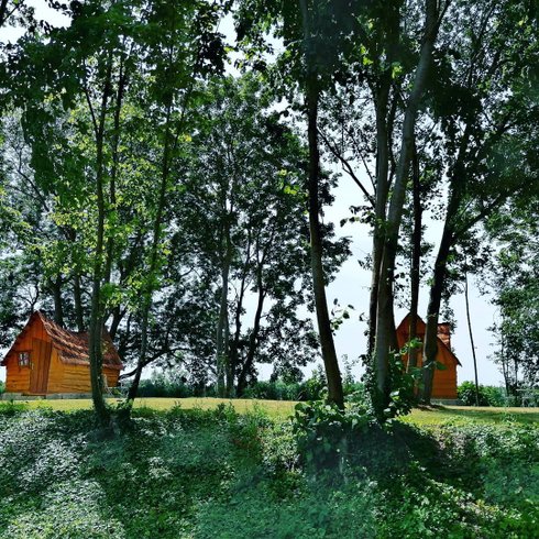 Hébergement AbracadaRoom : Petite Cabane de la Gare - Image 4