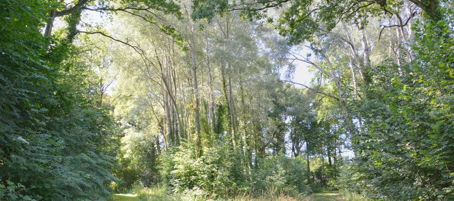 Domaine AbracadaRoom : Domaine des Vaulx - Image 13