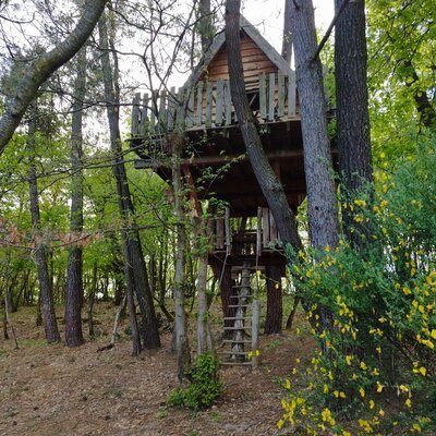 Hébergement AbracadaRoom : Cabane Nid d’Oiseaux - Un cocon perché qui danse avec le vent - Image 12