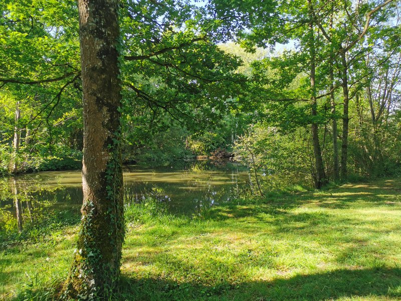 Domaine AbracadaRoom : La Noé verte - Image 2