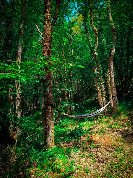 Hébergement AbracadaRoom : Gîte dans les bois, au coeur du Périgord noir avec étang privé - Image 11